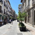 (PSOE)