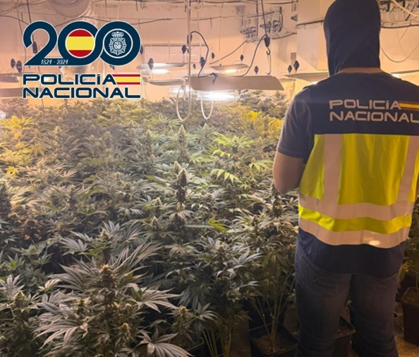 Una de las plantaciones (POLICIA NACIONAL) Una de las plantaciones (POLICIA NACIONAL)