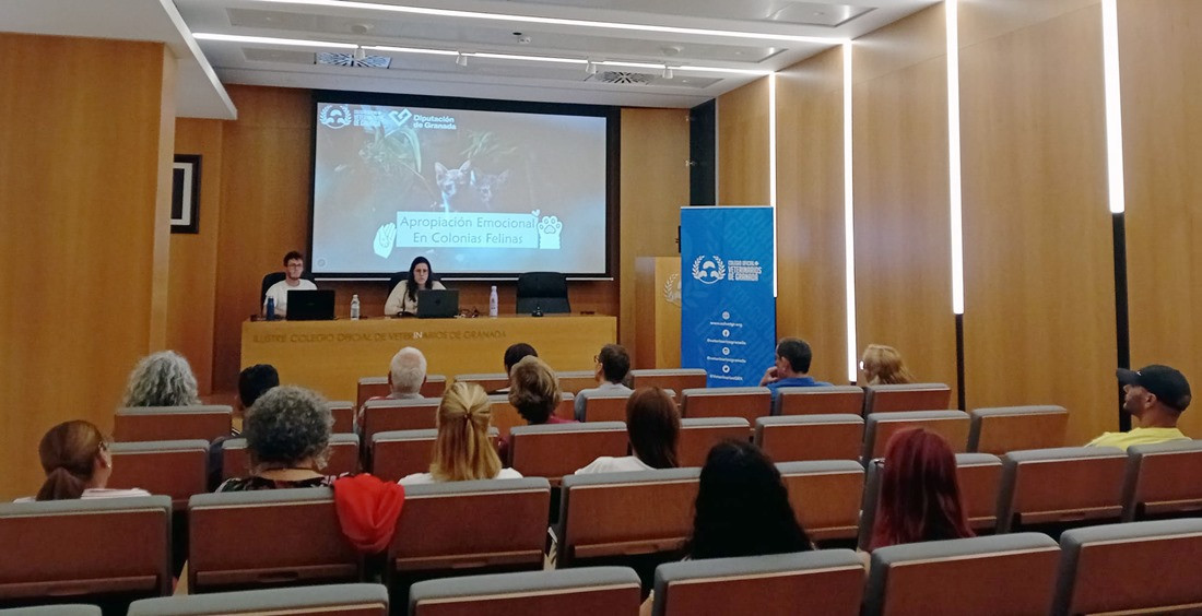 Formación sobre colonias felinas (COLEGIO DE VETERINARIOS)