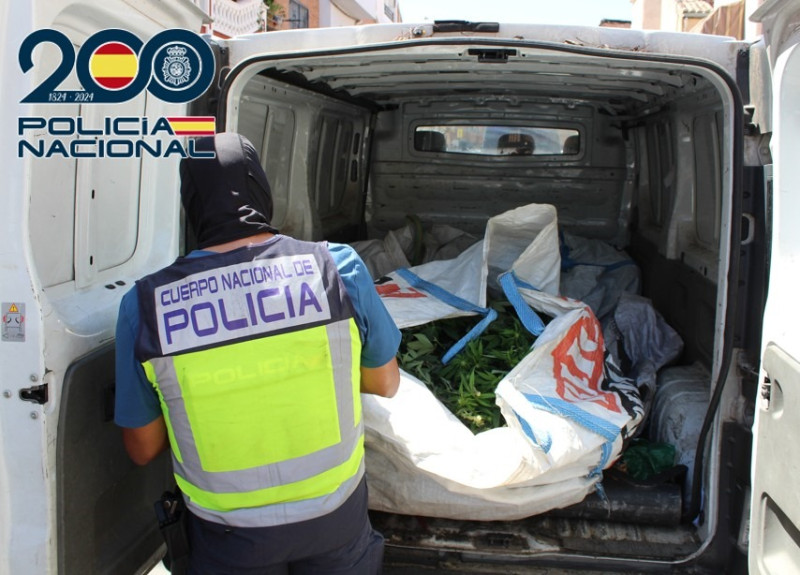 Marihuana incautada (POLICIA NACIONAL) Marihuana incautada (POLICIA NACIONAL)