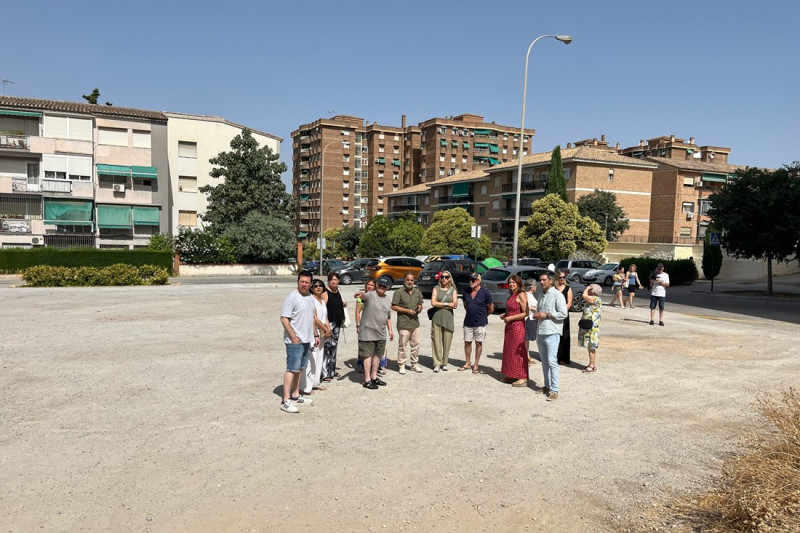 (PSOE) (PSOE)