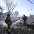 Bomberos del INFOCA trabajando en la zona del incendio (GPMEDIA)