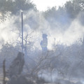 El incendio forestal de Dúrcal ya está extinguido (GPMEDIA)