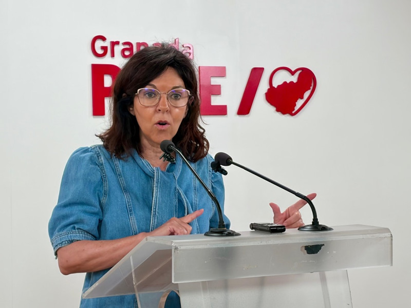 (PSOE) (PSOE)