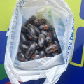 Bellotas de hachís localizadas en un vehículo por la Policía Local de Granada (POLICÍA LOCAL DE GRANADA)