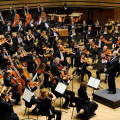 Budapest Orchestra Festival