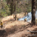 Incendio forestal en el Sacromonte (INFOCA)