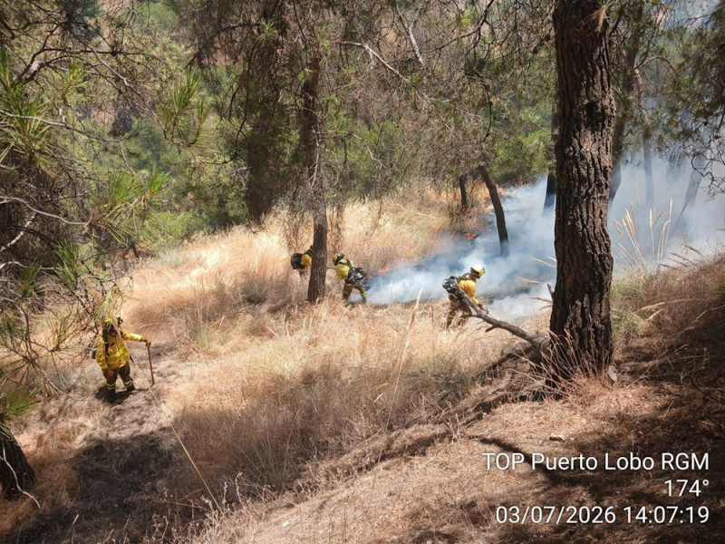 Incendio forestal en el Sacromonte (INFOCA) Incendio forestal en el Sacromonte (INFOCA)