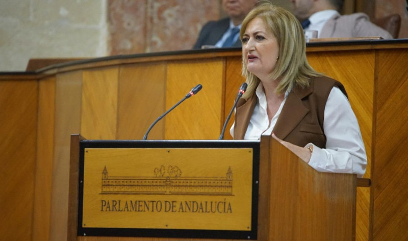 La parlamentaria andaluza del Partido Popular de Granada Celia Santiago (PP DE GRANADA) La parlamentaria andaluza del Partido Popular de Granada Celia Santiago (PP DE GRANADA)