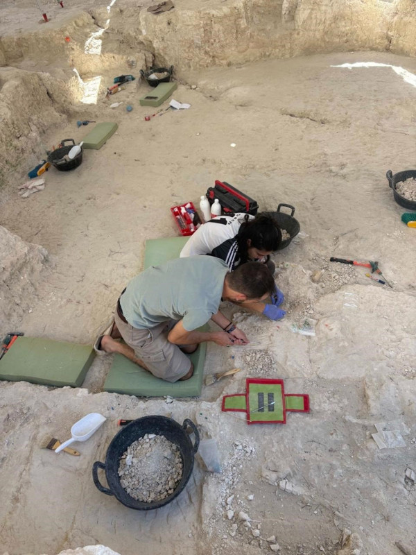 Excavaciones en los yacimientos de Orce (UGR)