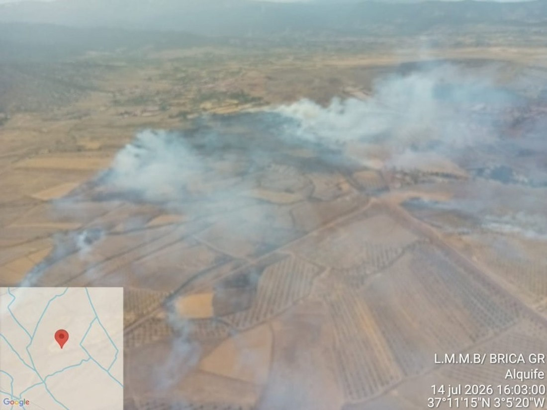 Incendio forestal declarado este martes en una paraje de Alquife (INFOCA)