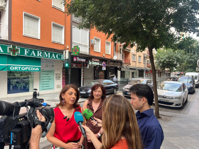 (PSOE) (PSOE)