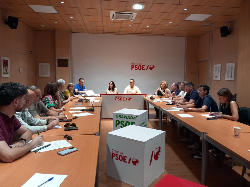 PSOE PSOE