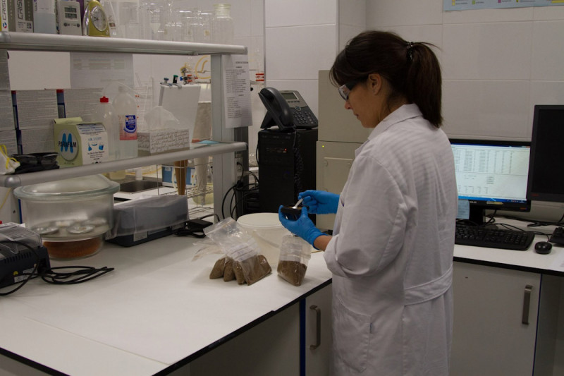 Investigadora en un laboratorio. Archivo (JUNTA DE ANDALUCÍA) Investigadora en un laboratorio. Archivo (JUNTA DE ANDALUCÍA)
