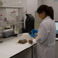 Investigadora en un laboratorio. Archivo (JUNTA DE ANDALUCÍA)