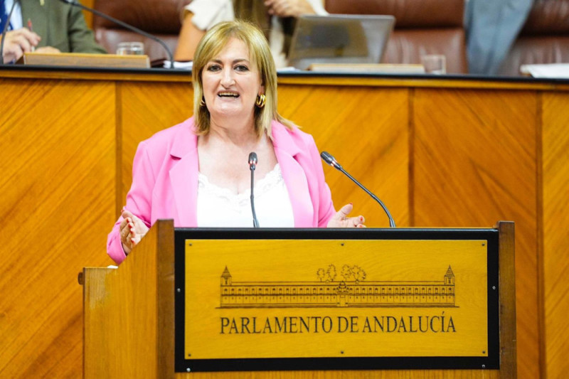 La parlamentaria andaluza del PP Celia Santiago (PP) La parlamentaria andaluza del PP Celia Santiago (PP)