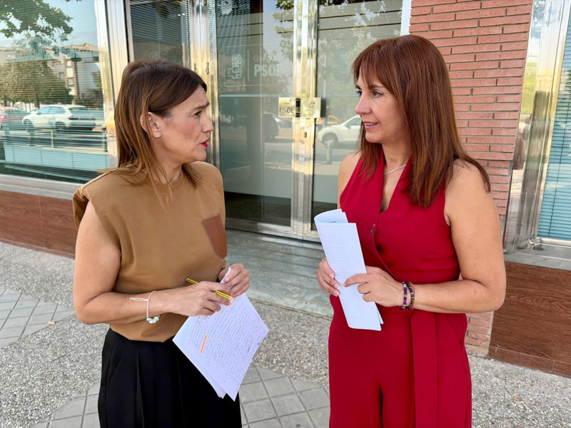 (PSOE) (PSOE)