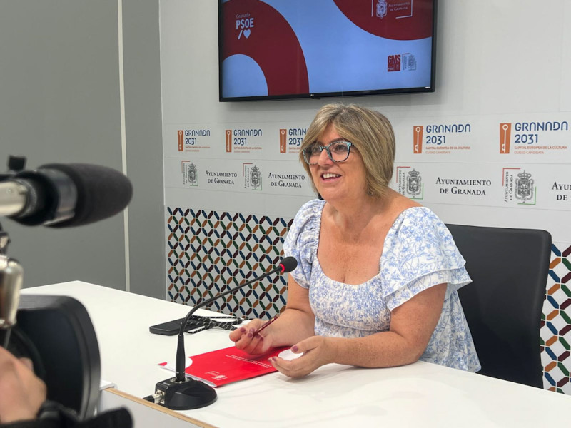 (PSOE) (PSOE)