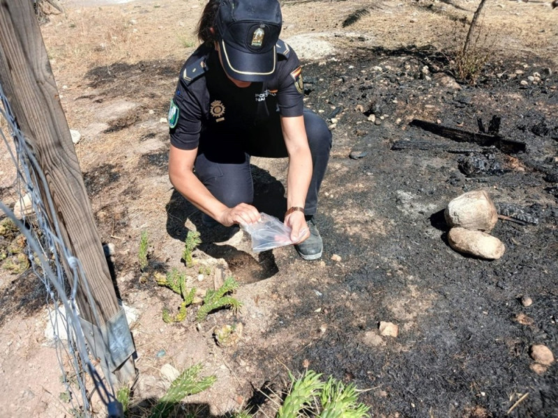 Agente en la zona del incendio del Cerro de San Miguel (JUNTA DE ANDALUCÍA)