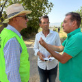 (PSOE)