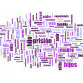 Nube de palabras a partir del análisis de las herstories (relatos de la historia contados desde una perspectiva feminista) de las madres privadas de libertad que han participado en el estudio (PILAR ROIG JUBANY)