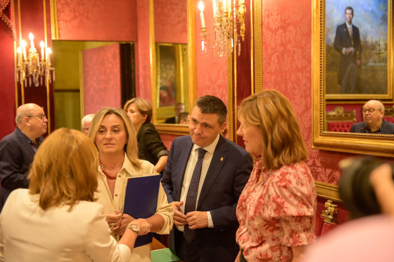Pleno del Ayuntamiento de Granada (GPMEDIA) Pleno del Ayuntamiento de Granada (GPMEDIA)