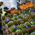 Varios voluntarios trabajan en unos almacenes (RAFAEL BASTANTE - EUROPA PRESS)