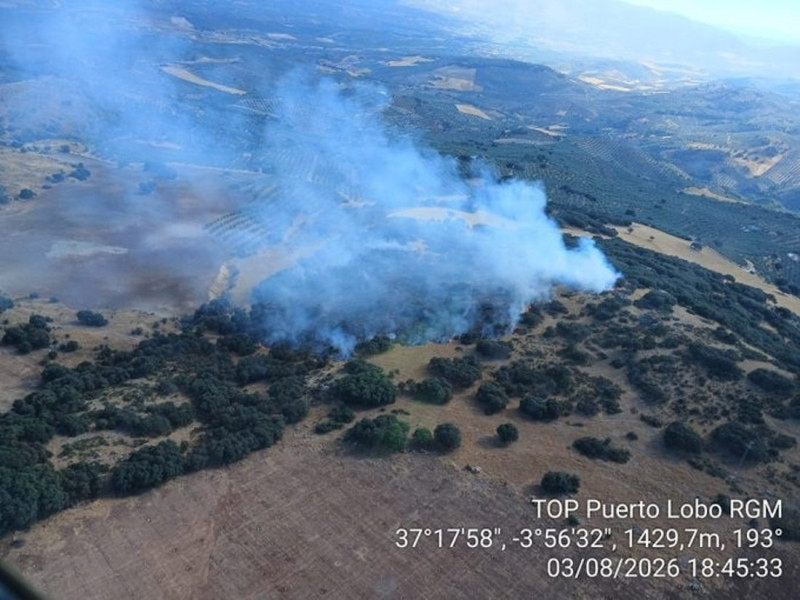 Incendio forestal declarado en Íllora (Granada) en un paraje de la Sierra de Parapanda (PLAN INFOCA) Incendio forestal declarado en Íllora (Granada) en un paraje de la Sierra de Parapanda (PLAN INFOCA)