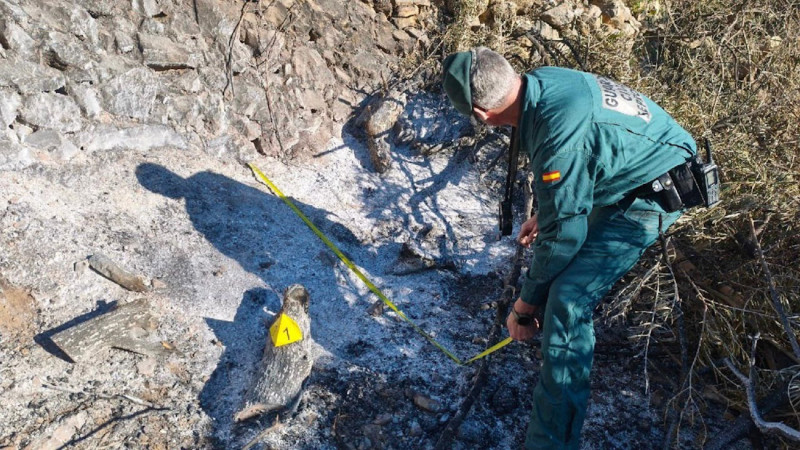 Agentes del Seprona localizaron varios puntos de fuego en un terreno donde los presuntos autores realizaban labores de limpieza y desbroce mediante maquinaria agrícola y quema de restos de residuos vegetales y de madera (GUARDIA CIVIL)