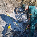 Agentes del Seprona localizaron varios puntos de fuego en un terreno donde los presuntos autores realizaban labores de limpieza y desbroce mediante maquinaria agrícola y quema de restos de residuos vegetales y de madera (GUARDIA CIVIL)