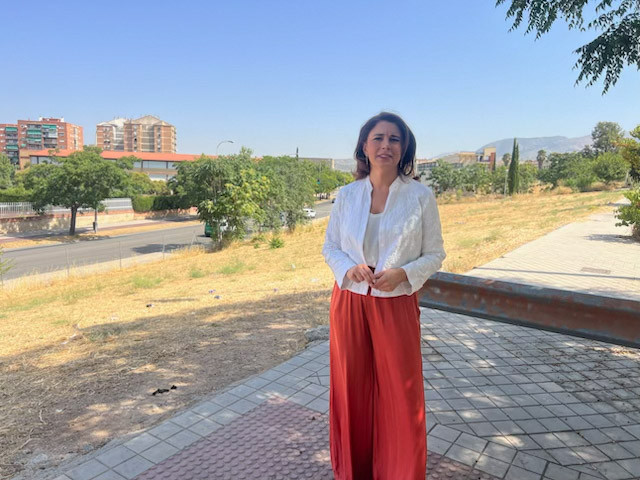 (PSOE) (PSOE)