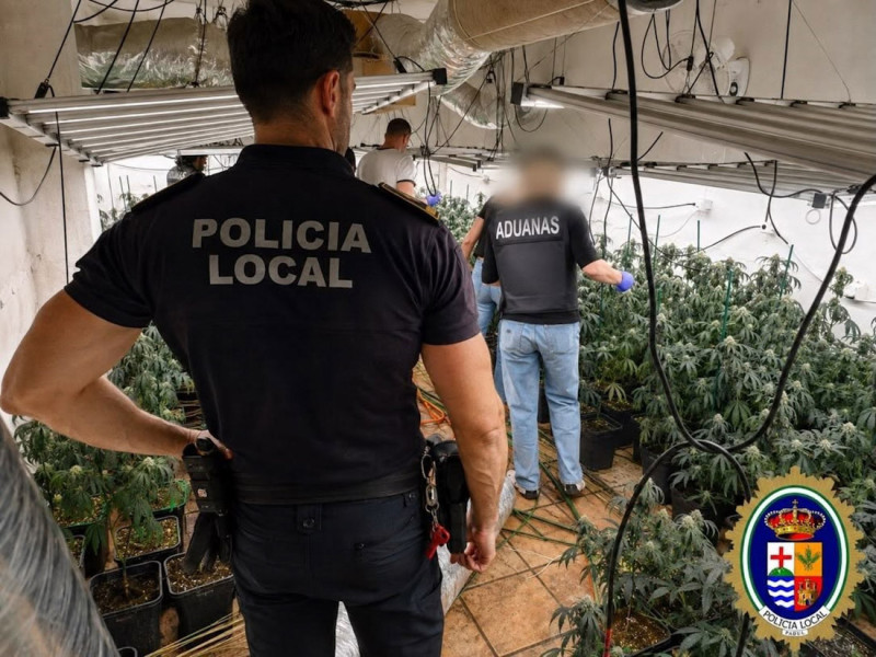La Policía Local de Padul, junto a la Guardia Civil y el Servicio de Vigilancia Aduanera, ha llevado a cabo en los tres últimos meses actuaciones que han permitido intervenir de más de 1.500 plantas de marihuana (POLICÍA LOCAL DE PADUL) La Policía Local de Padul, junto a la Guardia Civil y el Servicio de Vigilancia Aduanera, ha llevado a cabo en los tres últimos meses actuaciones que han permitido intervenir de más de 1.500 plantas de marihuana (POLICÍA LOCAL DE PADUL)