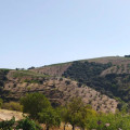 El Cerro de las Monjas se localiza en las cumbres más altas de la Sierra de la Contraviesa,  (COAG GRANADA)