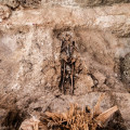 Víctima en una de las fosas del cementerio municipal de Padul (FRANCISCO DE ASÍS CARRIÓN JIMÉNEZ)