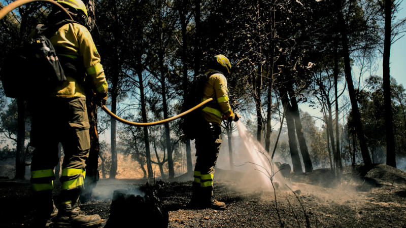 Bomberos del Infoca en tareas de extinción (INFOCA) Bomberos del Infoca en tareas de extinción (INFOCA)