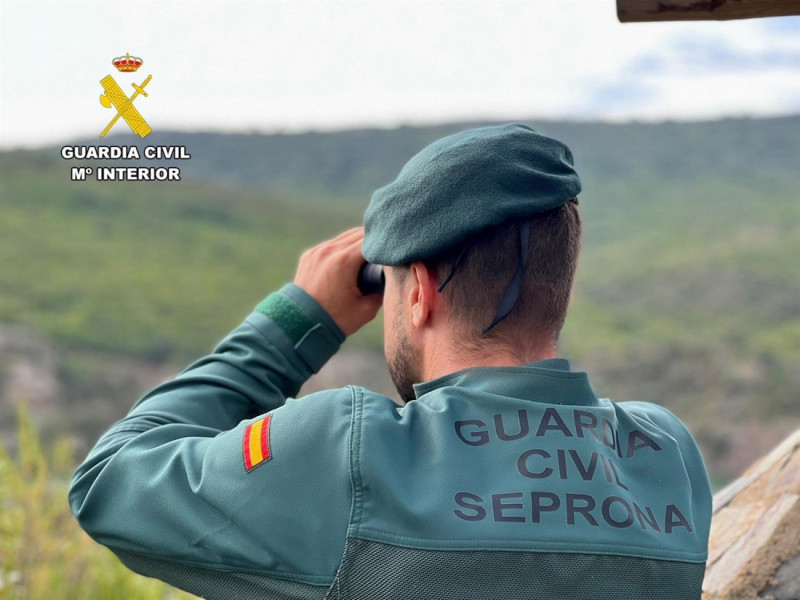 Un agente del Seprona con unos prismáticos (GUARDIA CIVIL)