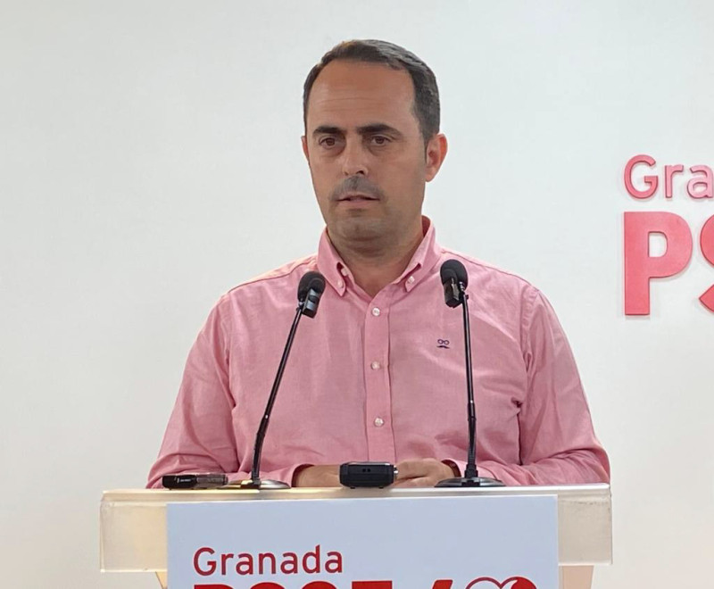 (PSOE) (PSOE)