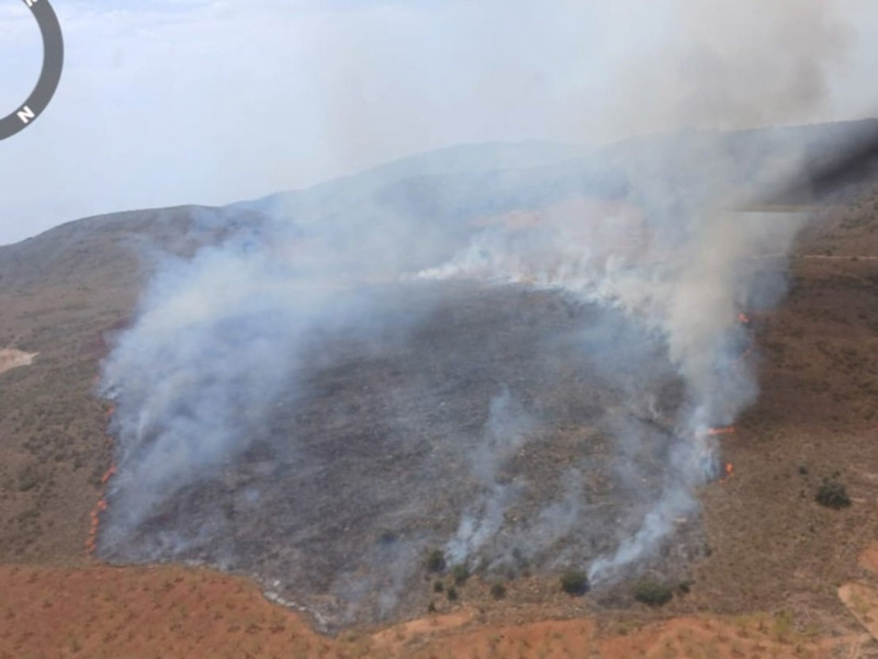 Imagen del incendio forestal de Turón (PLAN INFOCA)
