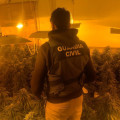 Imagen de archivo de una operación contra la producción de marihuana en Pinos Puente (GUARDIA CIVIL)