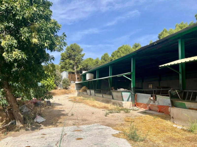 El PSOE de Castril urge al alcalde una solución “definitiva” al suministro de agua en El Corralón y denuncia el “boicot” a una explotación ganadera (PSOE GRANADA) El PSOE de Castril urge al alcalde una solución “definitiva” al suministro de agua en El Corralón y denuncia el “boicot” a una explotación ganadera (PSOE GRANADA)