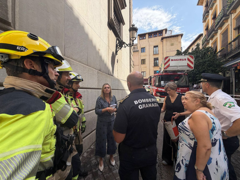 Revisión de edificios en la capital (AYTO. GRANADA)
