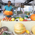 XVIII Feria Agrícola y Artesanal (AYTO. ALHENDIN)