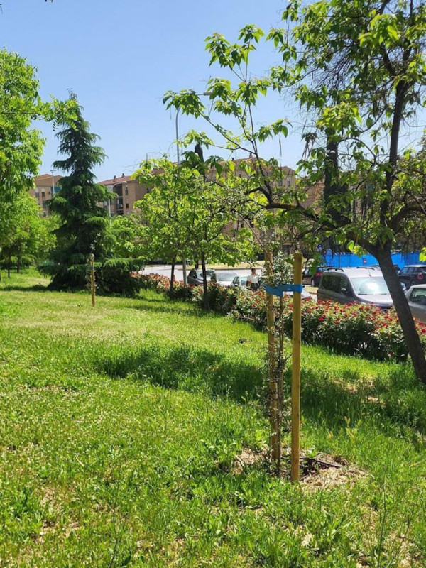 La ciudad de Granada gana 185 nuevos árboles y refuerza sus corredores verdes con el proyecto Healthy Cities de Sanitas (AYUNTAMIENTO DE GRANADA) La ciudad de Granada gana 185 nuevos árboles y refuerza sus corredores verdes con el proyecto Healthy Cities de Sanitas (AYUNTAMIENTO DE GRANADA)