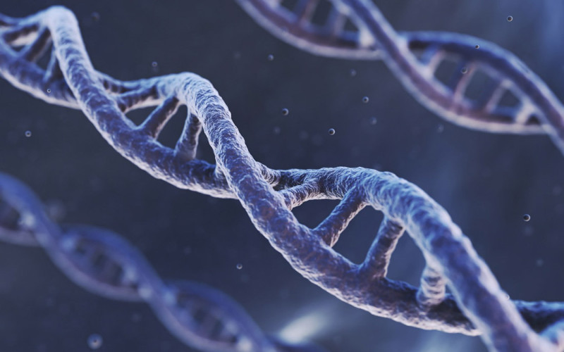 Granada lidera un estudio que identifica cuatro perfiles de riesgo para sufrir arteritis de células gigantes (CSIC ) Granada lidera un estudio que identifica cuatro perfiles de riesgo para sufrir arteritis de células gigantes (CSIC )