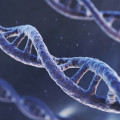 Granada lidera un estudio que identifica cuatro perfiles de riesgo para sufrir arteritis de células gigantes (CSIC )
