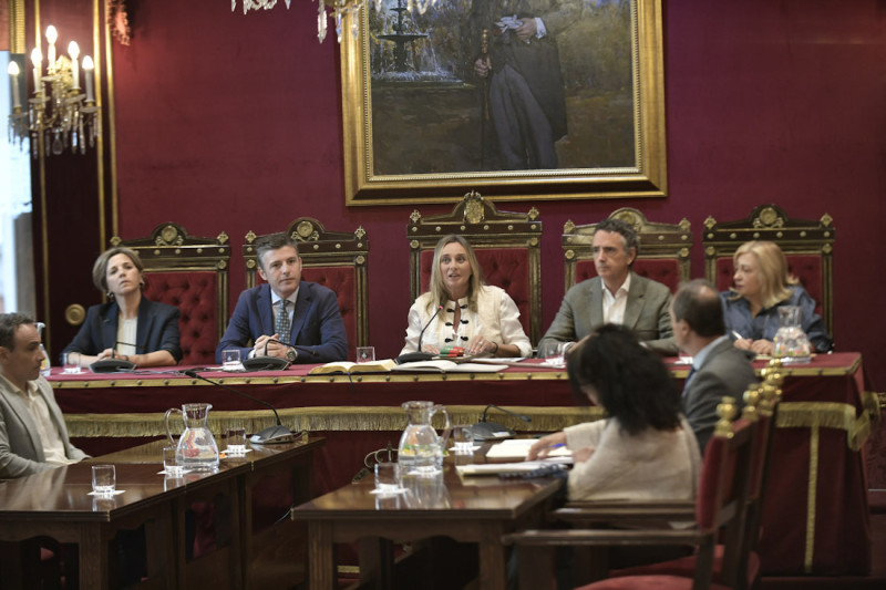 Pleno extraordinario del Ayuntamiento de Granada (GPMEDIA)