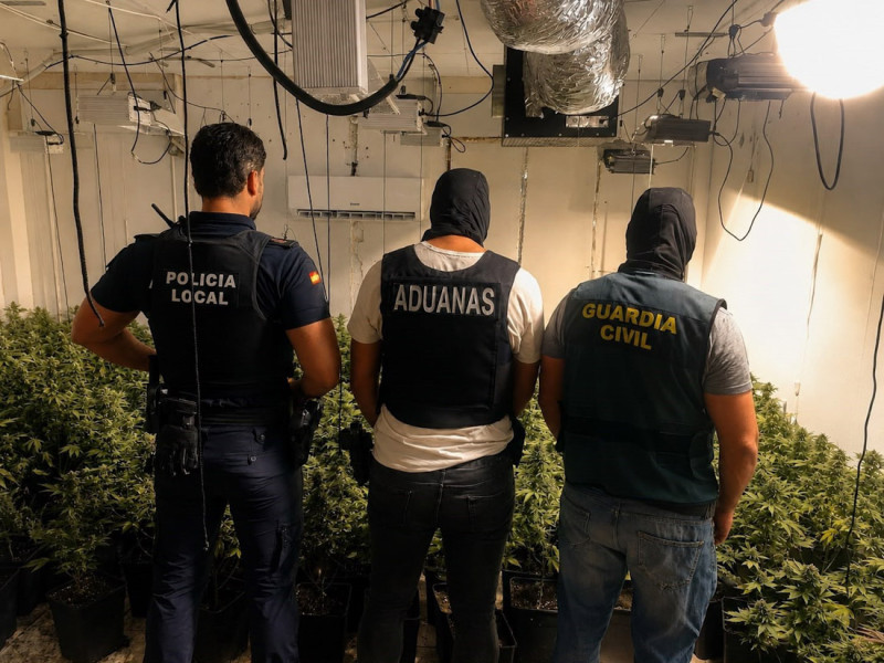 Guardia Civil y Vigilancia Aduanera de la Agencia Tributaria han desmantelado tres plantaciones de marihuana en Alhendín (GUARDIA CIVIL / AGENCIA TRIBUTARIA) Guardia Civil y Vigilancia Aduanera de la Agencia Tributaria han desmantelado tres plantaciones de marihuana en Alhendín (GUARDIA CIVIL / AGENCIA TRIBUTARIA)