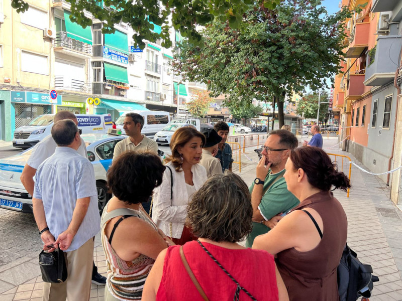 (PSOE) (PSOE)