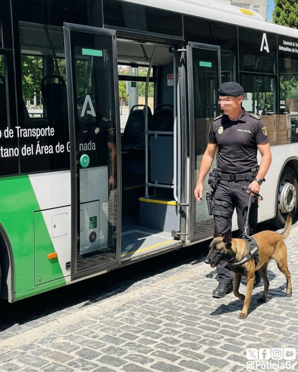 Un detenido por la Policía Local y puesto a disposición judicial tras las quejas de un usuario del autobús metropolitano por consumir hachís a bordo (POLICÍA LOCAL DE GRANADA)