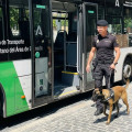 Un detenido por la Policía Local y puesto a disposición judicial tras las quejas de un usuario del autobús metropolitano por consumir hachís a bordo (POLICÍA LOCAL DE GRANADA)